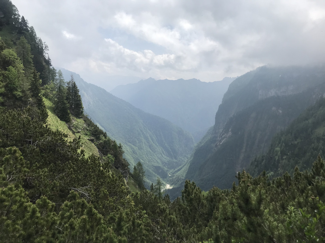 9B77818F-08C7-4706-9F07-19918B1CCE57