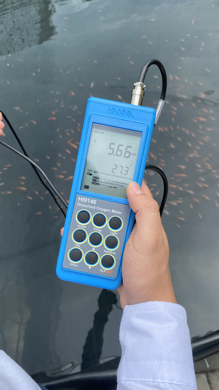 ¿Cómo afecta el pH en la calidad del agua en los estanques de acuicultura?
