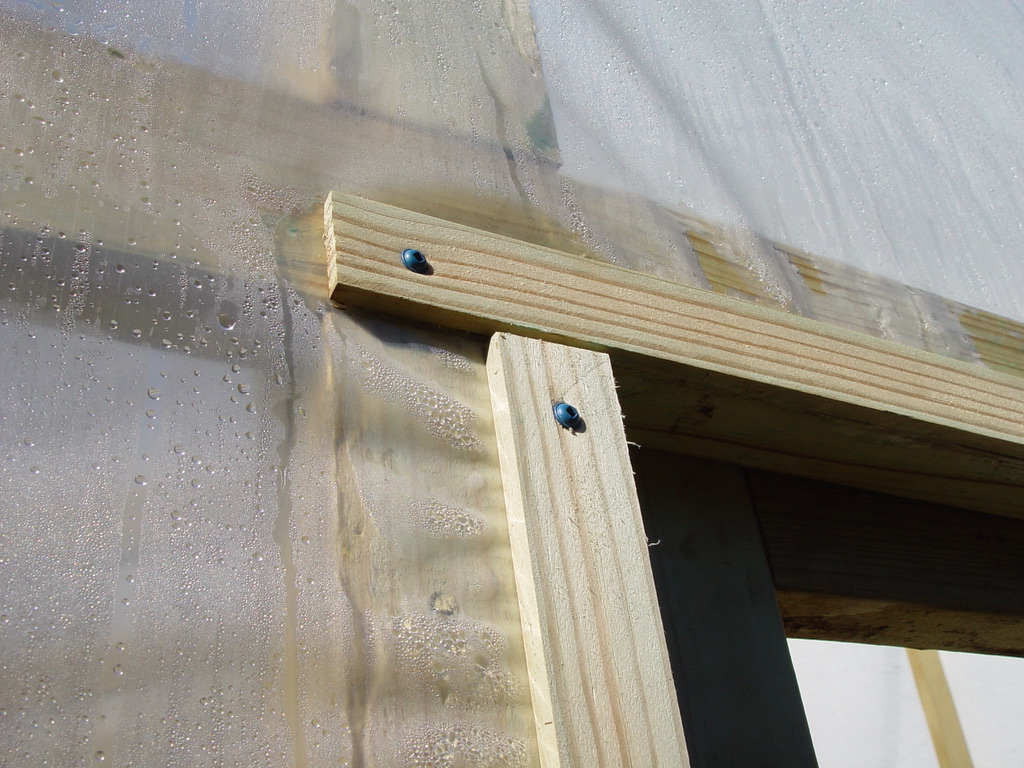 7A46B846-526E-435D-AB1B-937CD2F93F93_1_105_c