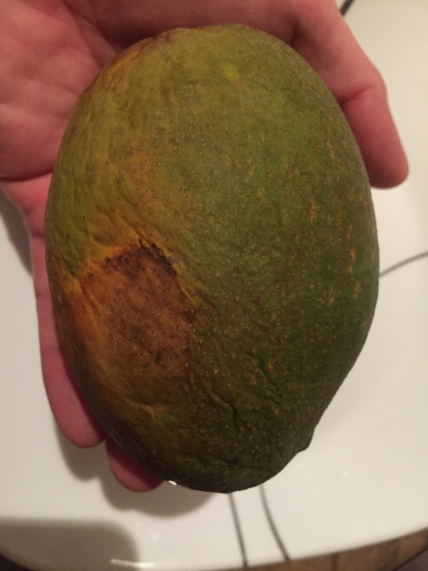 FF4C9856-03DB-4B2F-84CE-CE1DA1EBD4F6