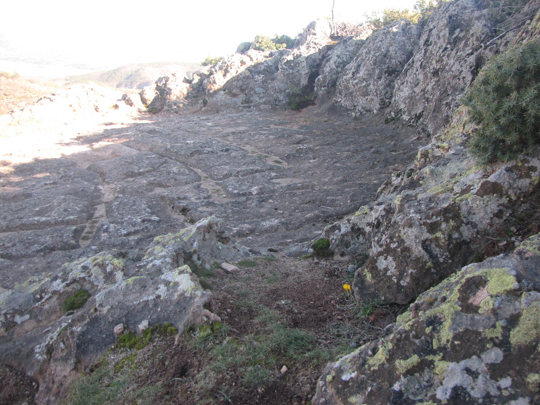 звездни паралели и меридиани на големия харман