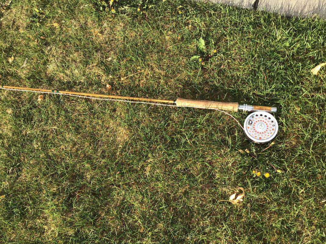 A002E721-2A1A-4E1B-91F6-622E2A739420