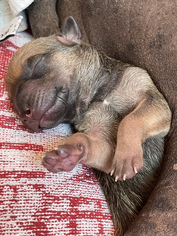 35BB52F8-DD55-4CE9-8819-98E13F3F6DE8