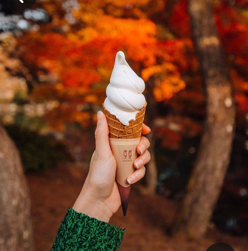 Screenshot_20231113_010205_Pinterest