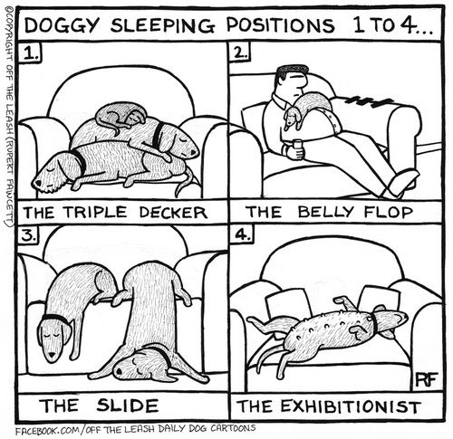 9CFC534B-BCB4-48D0-9D58-F7DAD28C8BFD