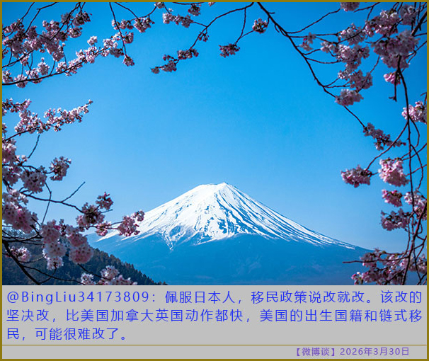 https://i.postimg.cc/MH0QXzm0/20260330-bt-(4).jpg