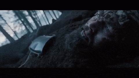 Earnest-Spectacular-Giraffe-size-restric