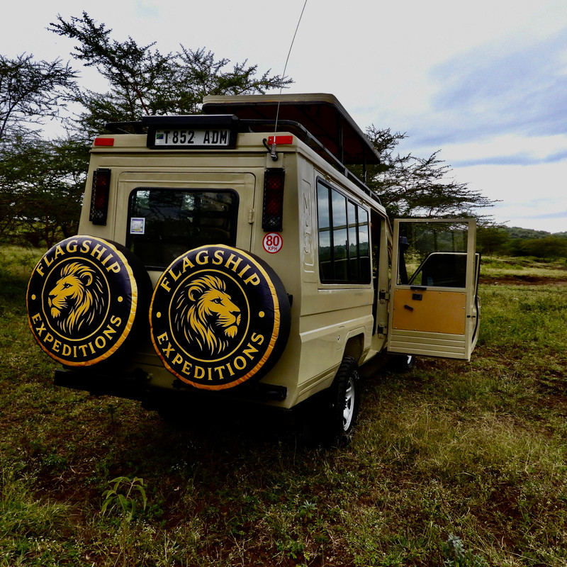 Adventurous Expedition: Unforgettable Wildlife Encounters