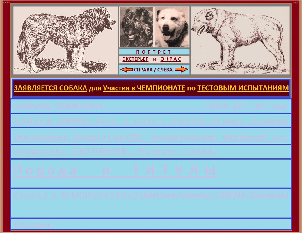 ТИ ПРАВИЛА Заявка Собаки на ТУРНИР ЧЕМПИОНАТ 2