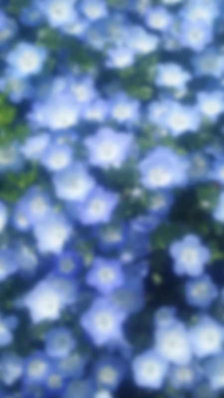 Tumblr l 1239137827475428