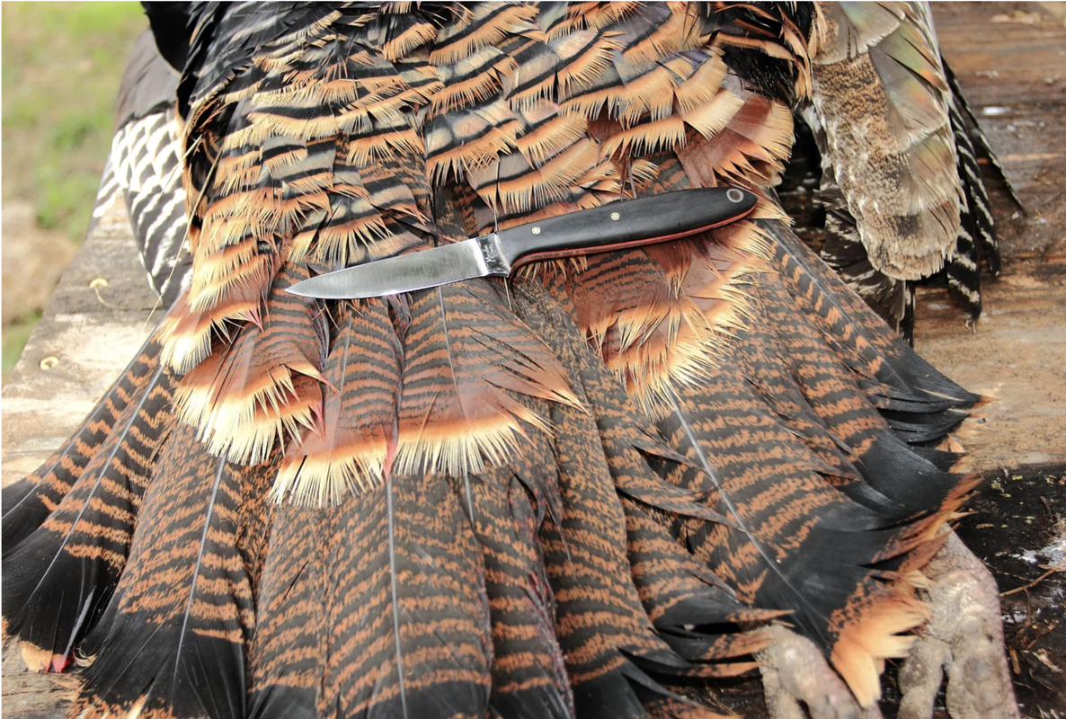 Screen Shot 2025-06-11 at 1.42.01 PM