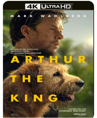 Arthur the King - Insieme ad ogni costo (2024) UHD VU 2160p HDR HEVC Dovi E-AC3+AC3 ITA THD+AC3 ENG