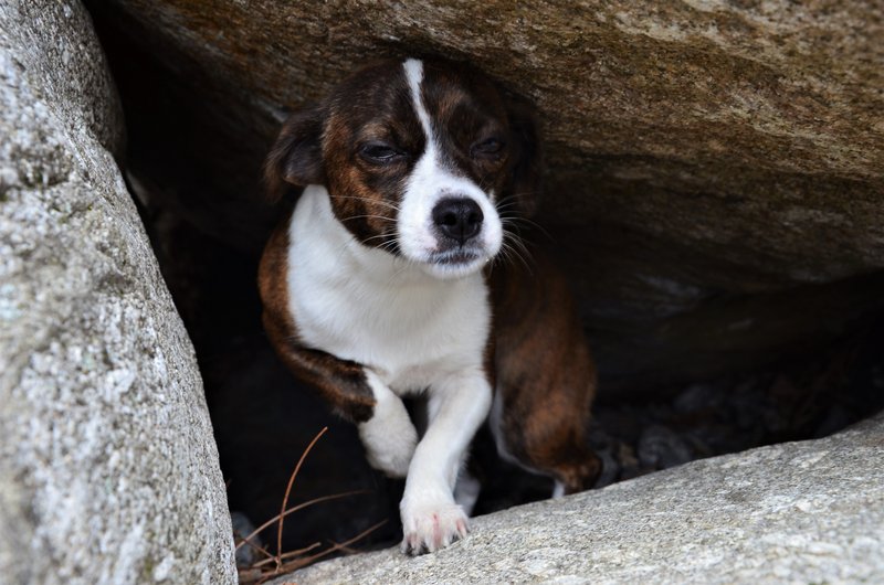 EL CHARCO VERDE-7-2-2015-AVILA - Paseando por España-1991/2015-Parte-1 (30)