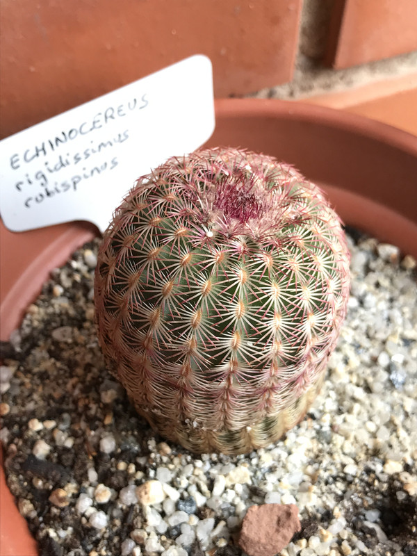 3B8FE695-4690-4AA5-BF09-980A8AB319CF