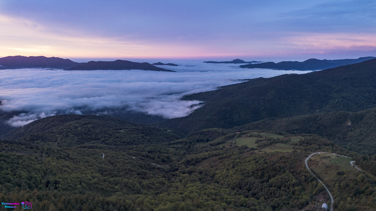 DJI-0311-1.jpg