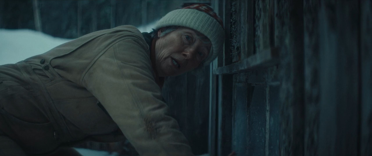 Dead of Winter 2025 BluRay [Hindi + Tamil + Telugu + English] 480p 720p ESub Screenshot