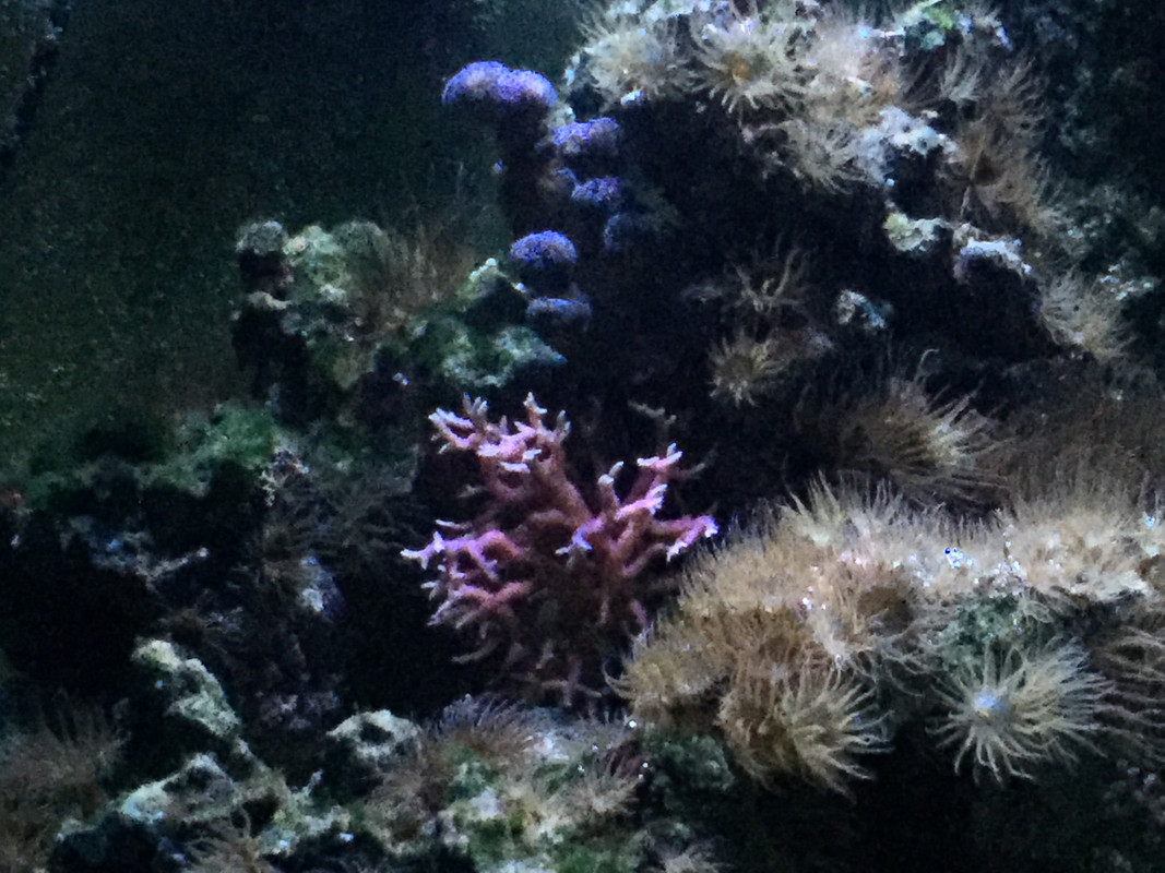 E4904ED4-8E9A-417B-B6E4-E85C8C0DAFD0