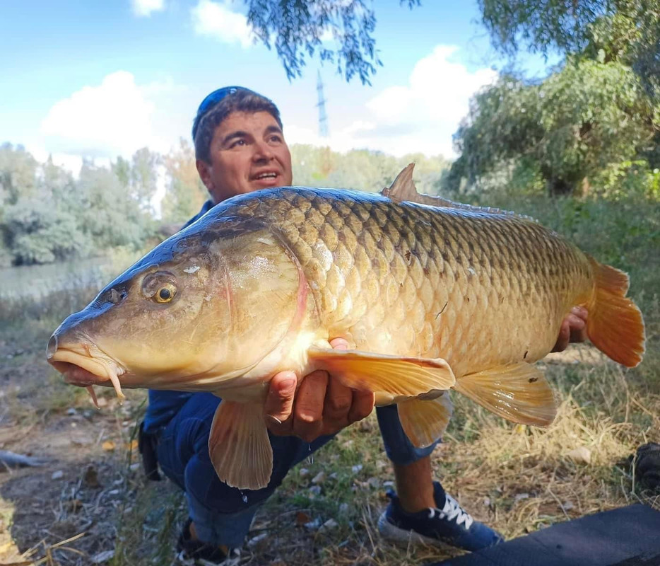 C769D324-2AEC-4706-9AF3-8783C57E6526