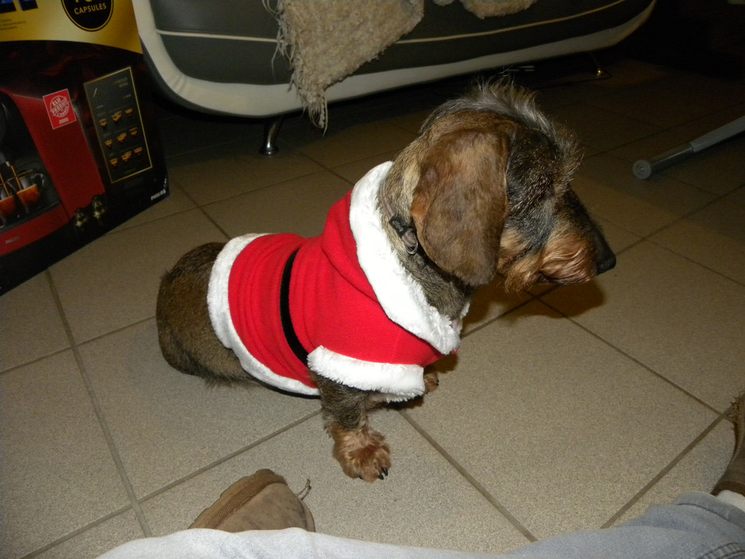 [Image: DSCN9718.jpg]