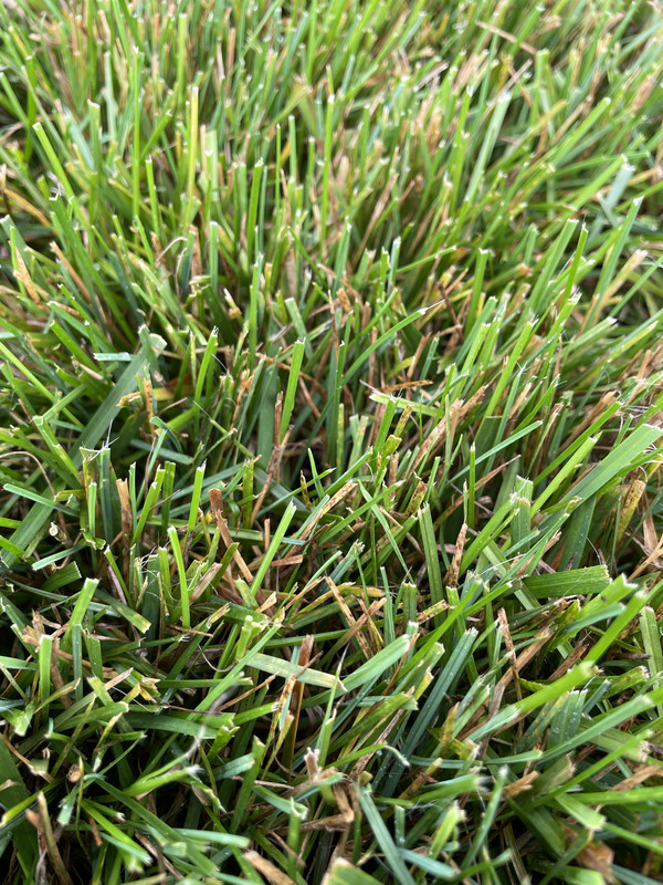 9454CF58-D811-4B0A-B433-43082518085C