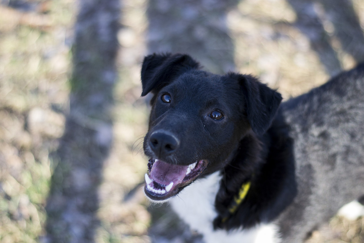 Дакота_06_18_4