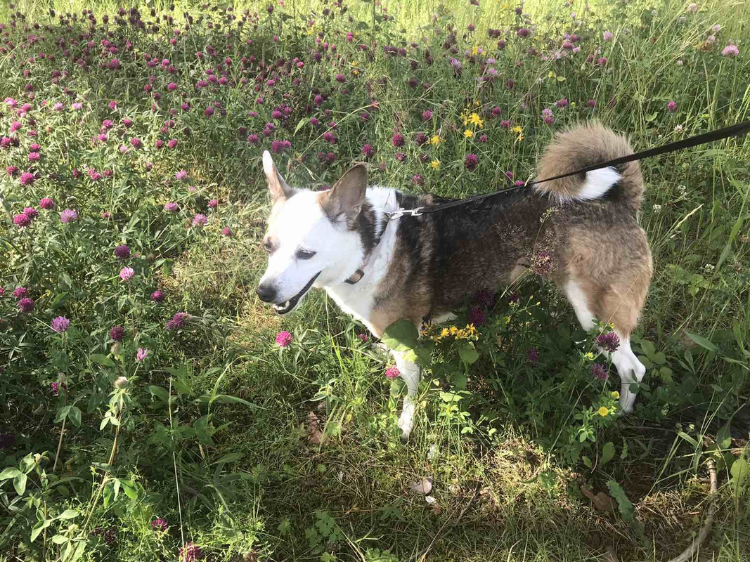 2045BFF1-F4D7-49B0-A88E-DFA28F7957AB