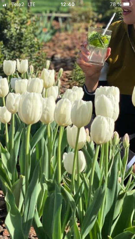 B6F7C8FB-CEEA-4836-8CB8-874F3129929D