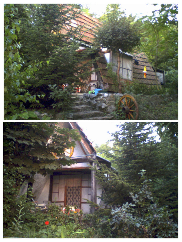 20250801-051723-COLLAGE.jpg