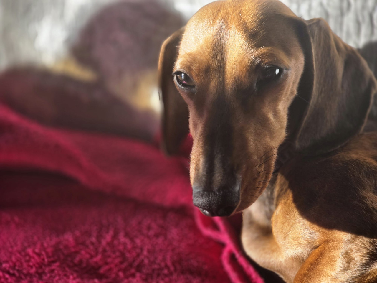 [Image: IMG-20251127-WA0005.jpg]