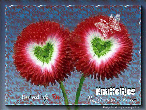 An den Beitrag angehängtes Bild: https://i.postimg.cc/MH3PdnQY/VLINDER-Animation2.gif