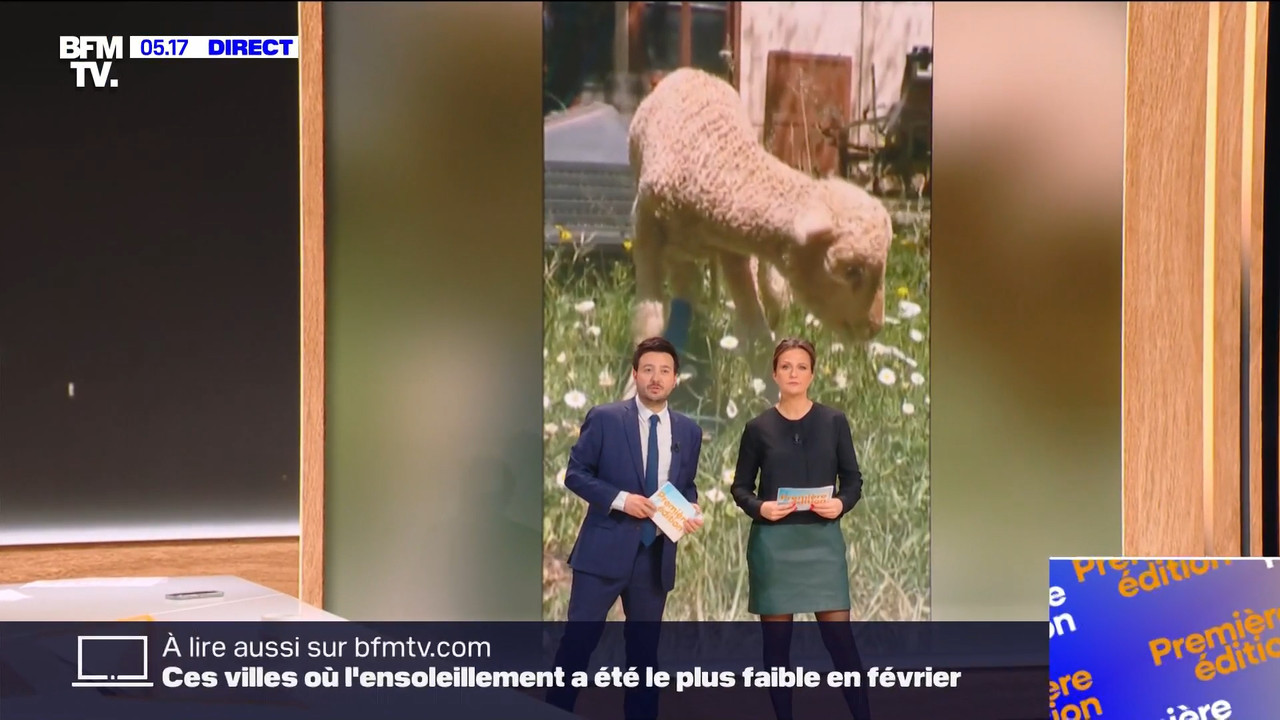BFMTV Pauline 070324.mp4_snapshot_00.52.47.831