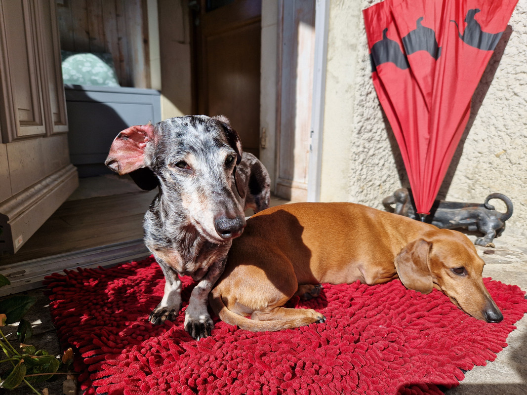 [Image: 20230312-141641.jpg]