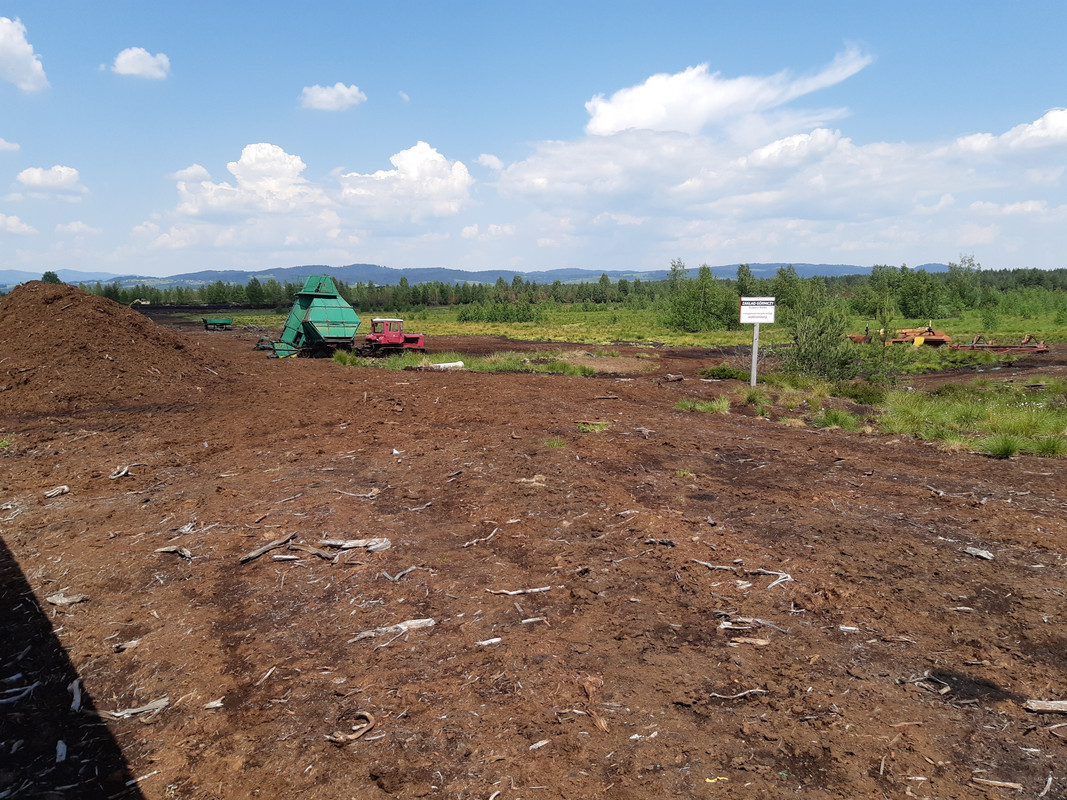 04.24 - 20180601_122600 (PiTT)