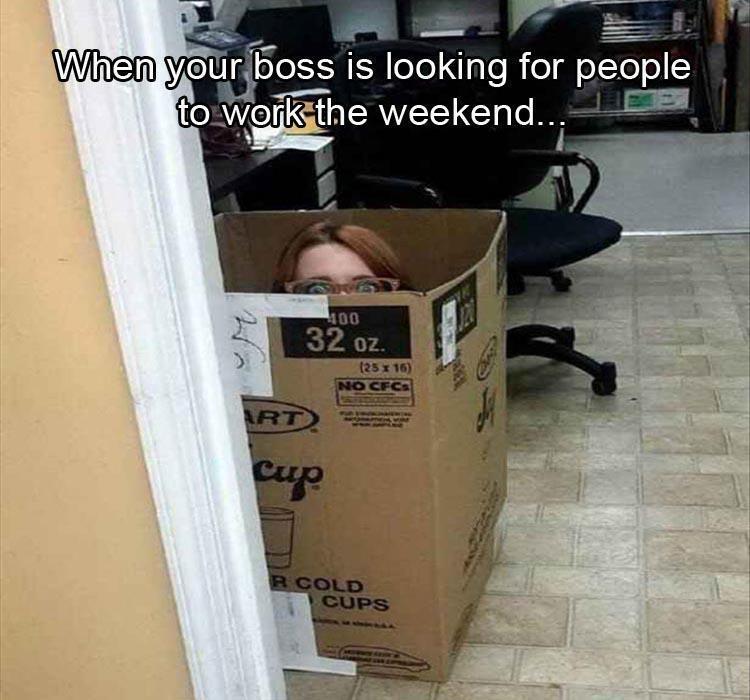 hide_in_box_when_boss_asks_for_volunteers.jpg