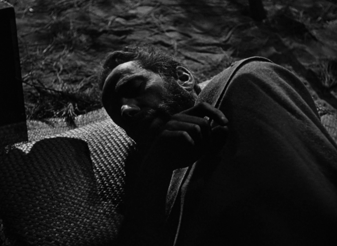 vlcsnap-2024-08-05-12h53m24s862