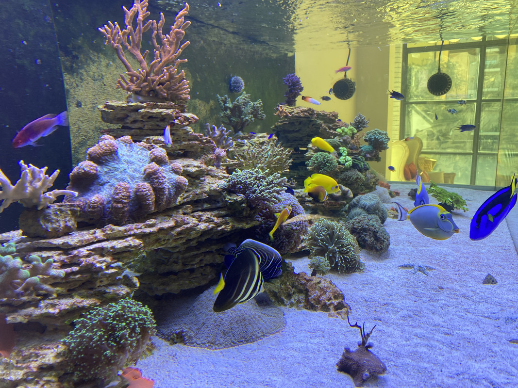 A0A923ED-3EBA-4DC2-AFCB-04BDA92EA235