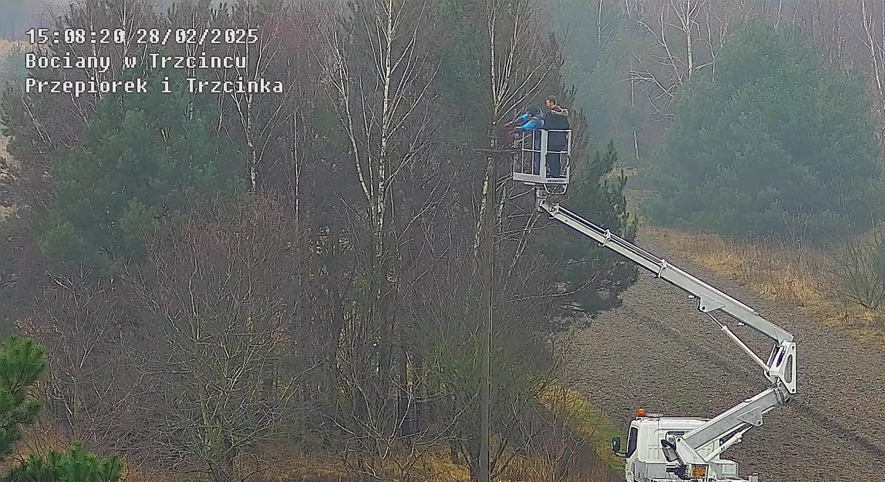 28022025tworzeniegniazda