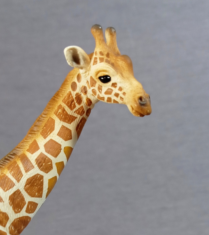 Eikoh - Animal Infinity - Giraffe IMG-20210306-080124