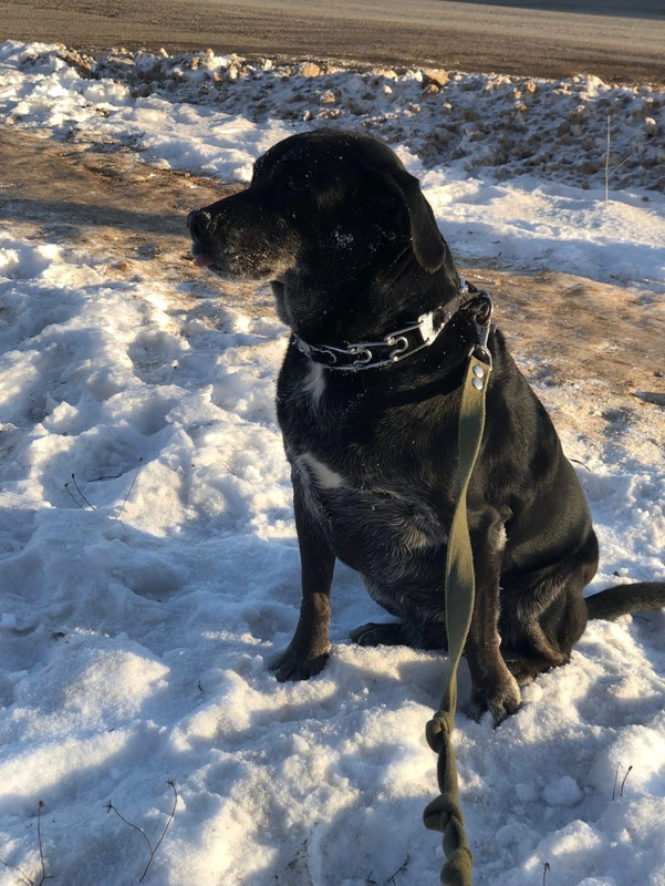 C47C44DF-3F85-4164-AC9B-B3229DBB9B4C