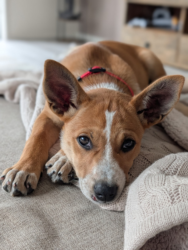 PXL_20250907_014630667.PORTRAIT