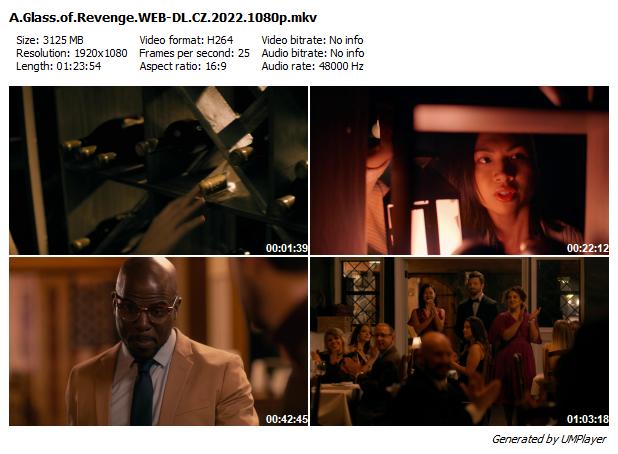 Trpká chuť pomsty / A Glass of Revenge (2022)