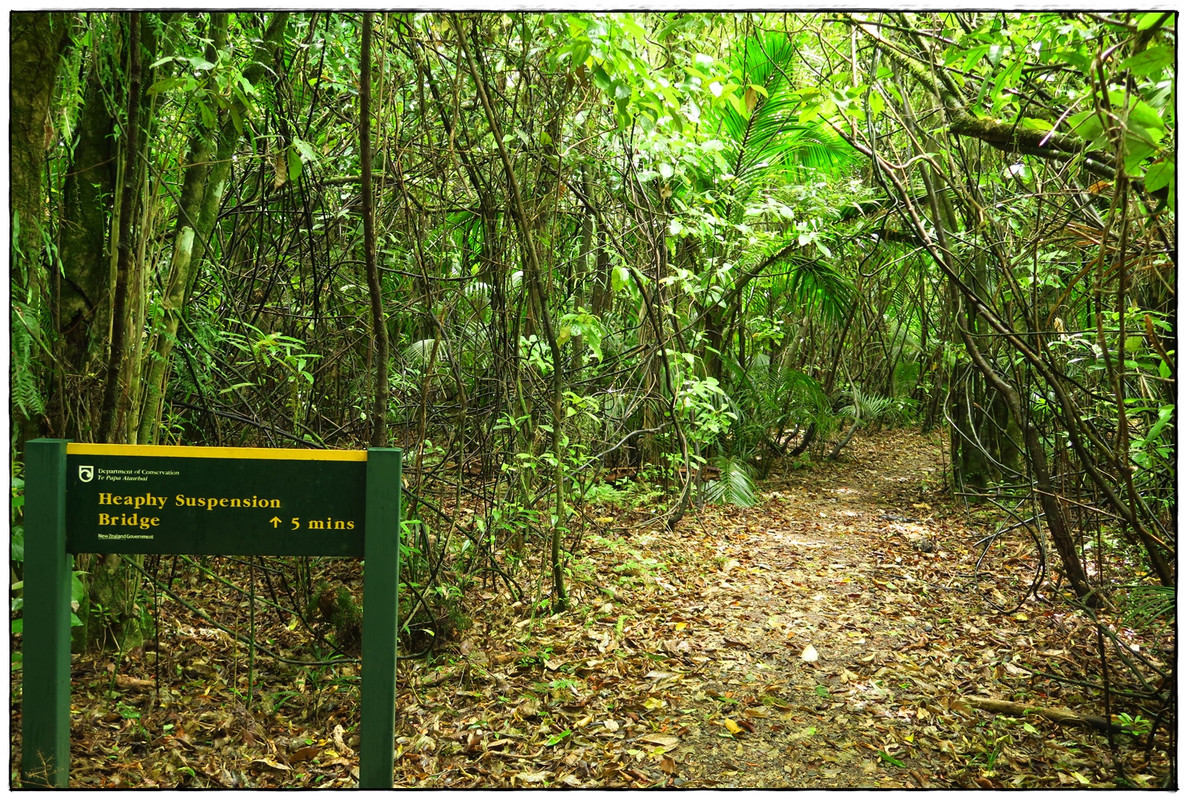 Escapadas y rutas por la Nueva Zelanda menos conocida - Blogs de Nueva Zelanda - Kahurangi NP: Heaphy Track (Navidad 2020, III) (31)