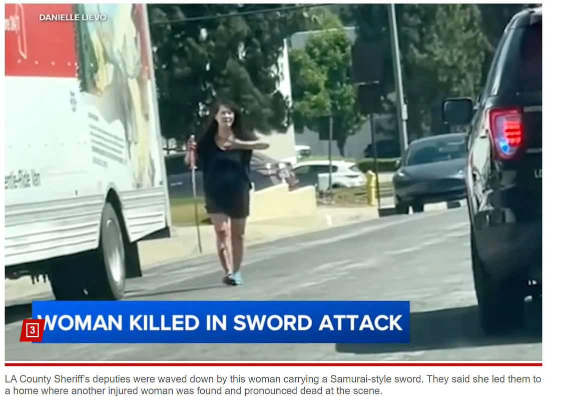 https://i.postimg.cc/MH5Dmf12/samurai-sw-ord-attack.png