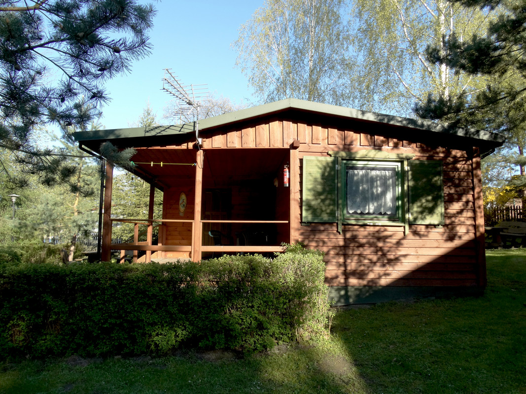 01.08 - DSC06730 (Czesio1)