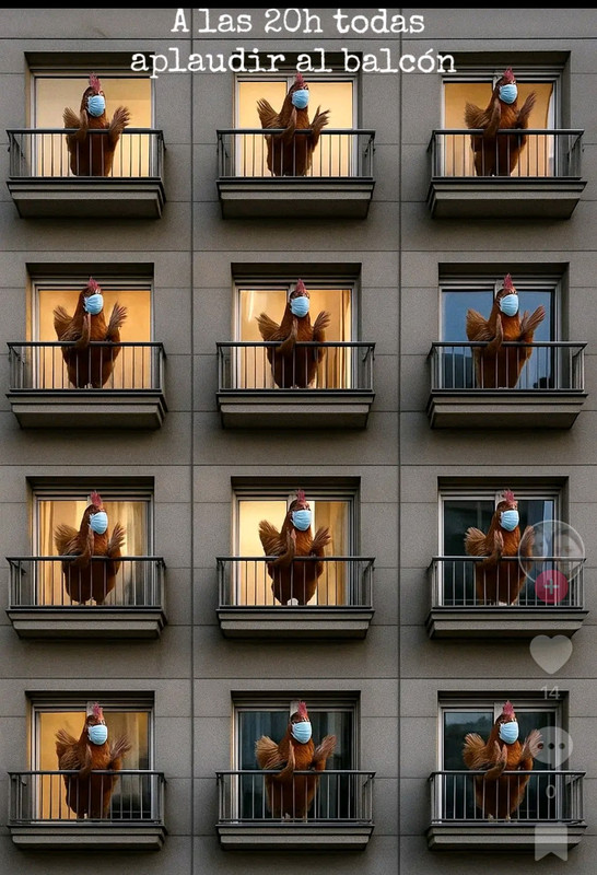 Screenshot 20251117 013605 2