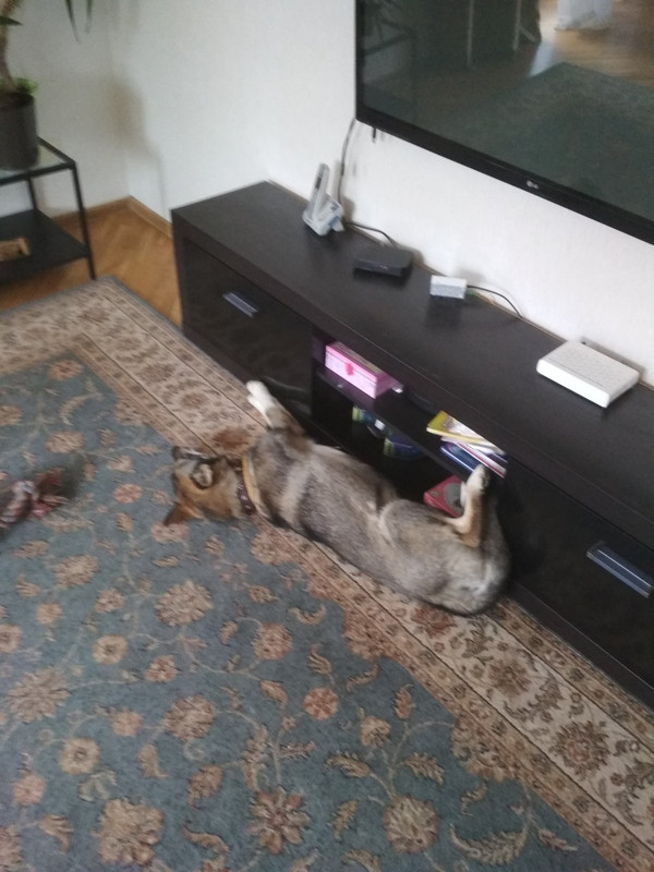 изображение_viber_2019-10-17_19-41-54