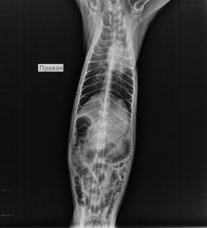 Screenshot_20201125_200804