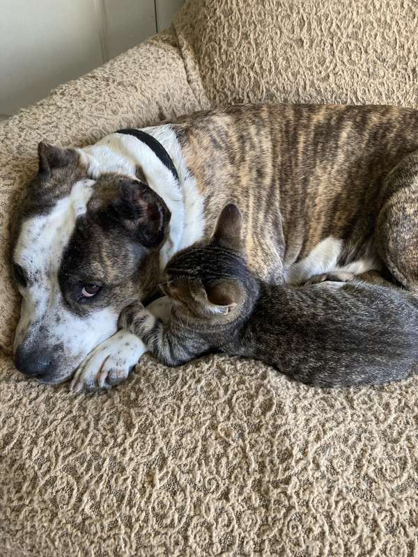 6442405F-EF51-4F0A-9A0B-D3E5EE3DA235