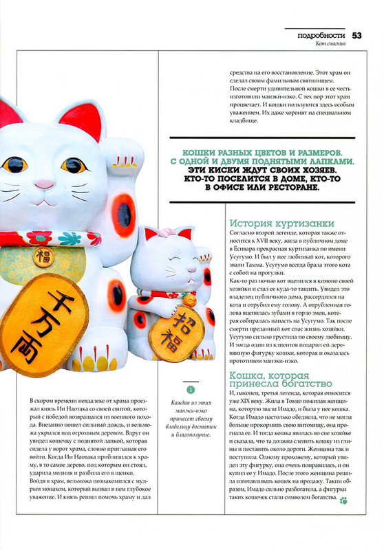 Друг кошек № 1 2013-55