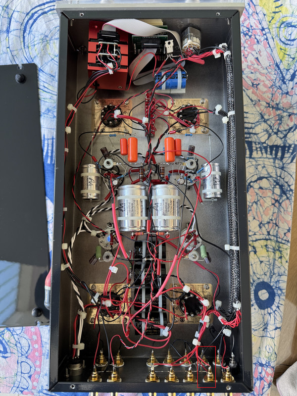 [Image: IMG-1411.jpg]